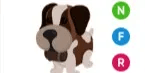 St Bernard NFR