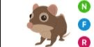 Gambar Product Shrew NFR
