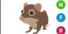 Shrew NFR
