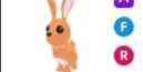 Hare MFR