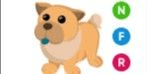 Gambar Product Tan Chow-Chow NFR