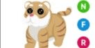 Gambar Product Lunar Gold Tiger NFR