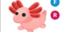 Axolotl FR
