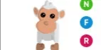 Albino Monkey NFR