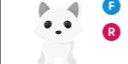 Gambar Product Arctic Fox FR