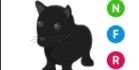 Gambar Product Black Panther NFR