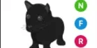 Black Panther NFR