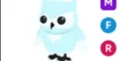 Snow Owl MFR