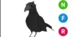 Crow NFR