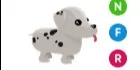 Dalmatian NFR