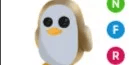 Golden Penguin NFR