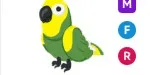 Green Amazon MFR