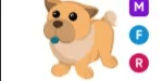 Tan Chow-Chow MFR