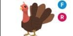 Gambar Product Turkey FR