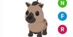 Gambar Product Hyena NFR