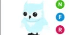 Snow Owl NFR