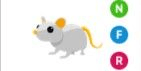 Gambar Product Golden Rat NFR