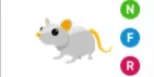 Golden Rat NFR