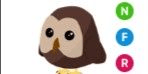Gambar Product Owl NFR