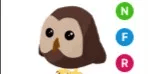 Owl NFR