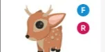 Fallow Deer FR
