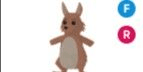 Gambar Product Kangaroo FR