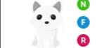 Arctic Fox NFR