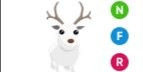 Gambar Product Arctic Reindeer NFR