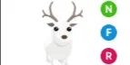 Arctic Reindeer NFR