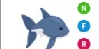 Shark NFR
