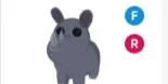 Rhino FR