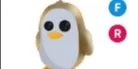 Golden Penguin FR