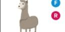 Gambar Product Llama FR