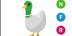 Silly Duck NFR