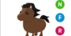 Horse NFR