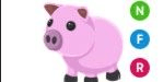 Gambar Product Pig NFR