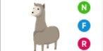 Gambar Product Llama NFR