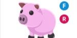 Gambar Product Pig FR