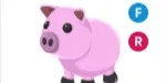 Pig FR