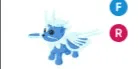 Ice Moth Dragon FR