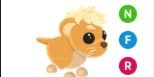Gambar Product Lion Cub NFR