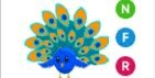 Gambar Product Peacock NFR