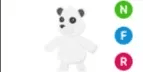 Polar Bear NFR