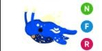 Gambar Product Space Whale NFR