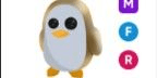 Gambar Product Golden Penguin MFR