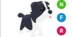 Gambar Product Border Collie NFR