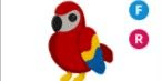 Gambar Product Parrot FR