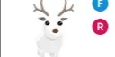 Arctic Reindeer FR