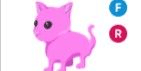 Gambar Product Pink Cat FR