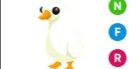 Gambar Product Goose NFR